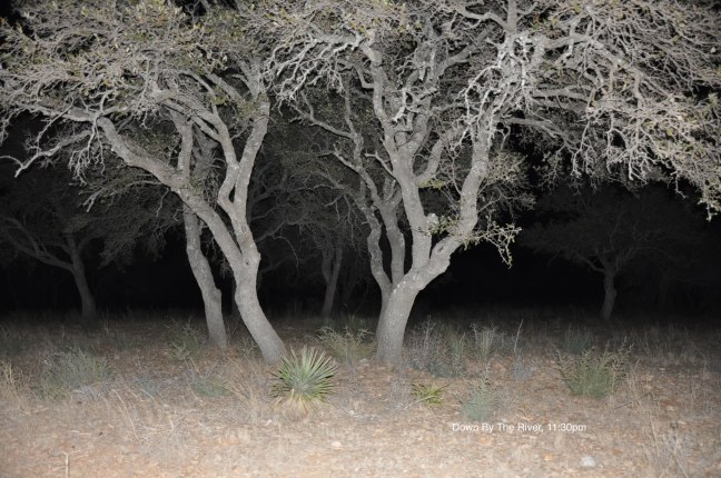 Down by the River, 1130pm