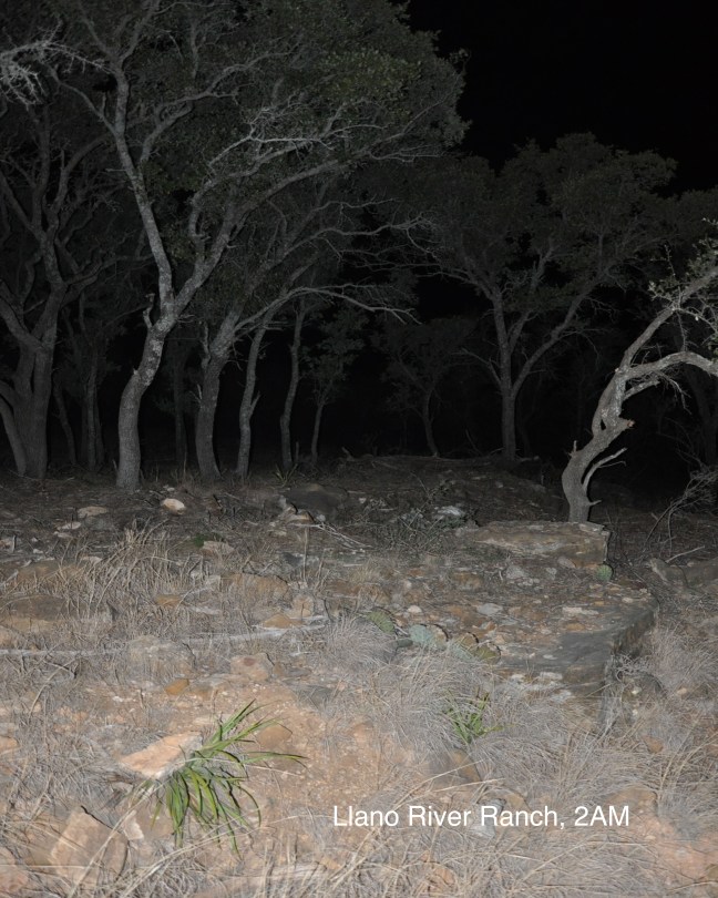 Llano River Ranch, 2AM