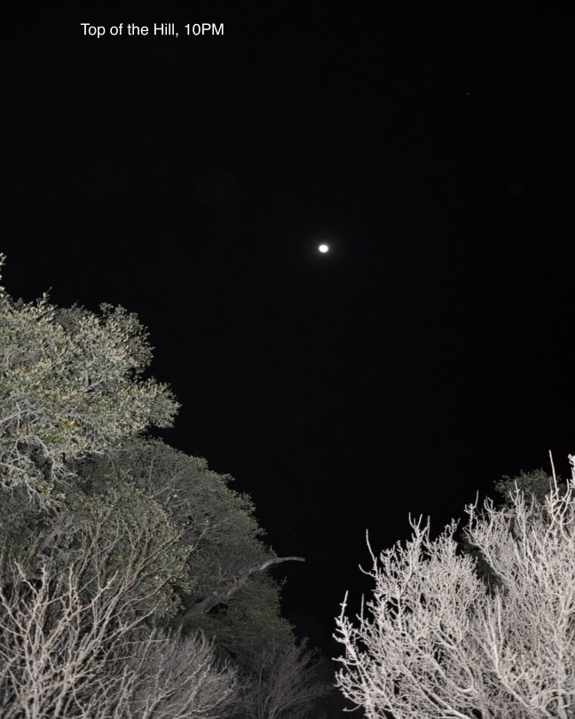 Top of the Hill, 10pm